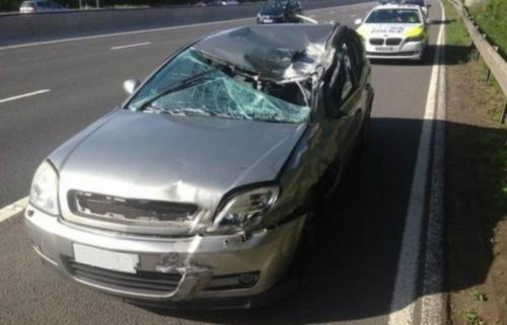 17965753231081280756