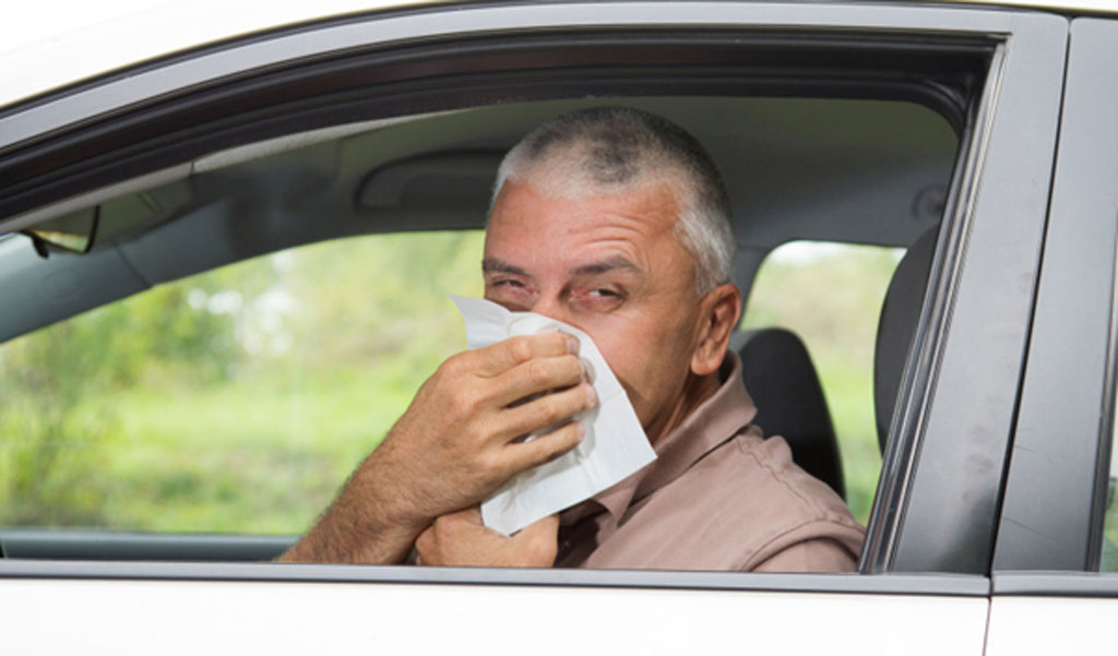 alergia-primaveral-pequeña-