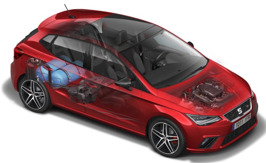 coche de gas segunda mano