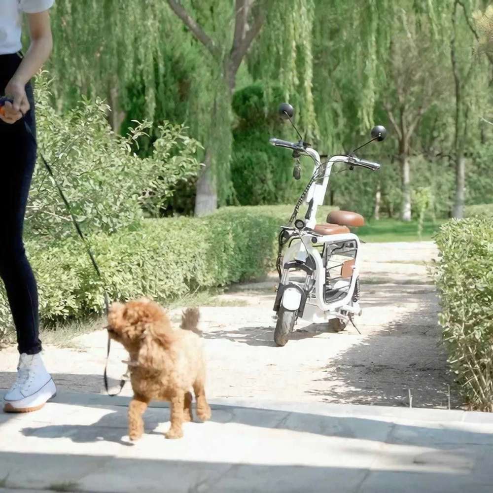 Mopet, un ciclomotor ideal para que tú y tu amigo peludo viajéis por la urbe